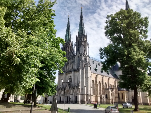 Close up by St Wenceslas cathedral cathedral